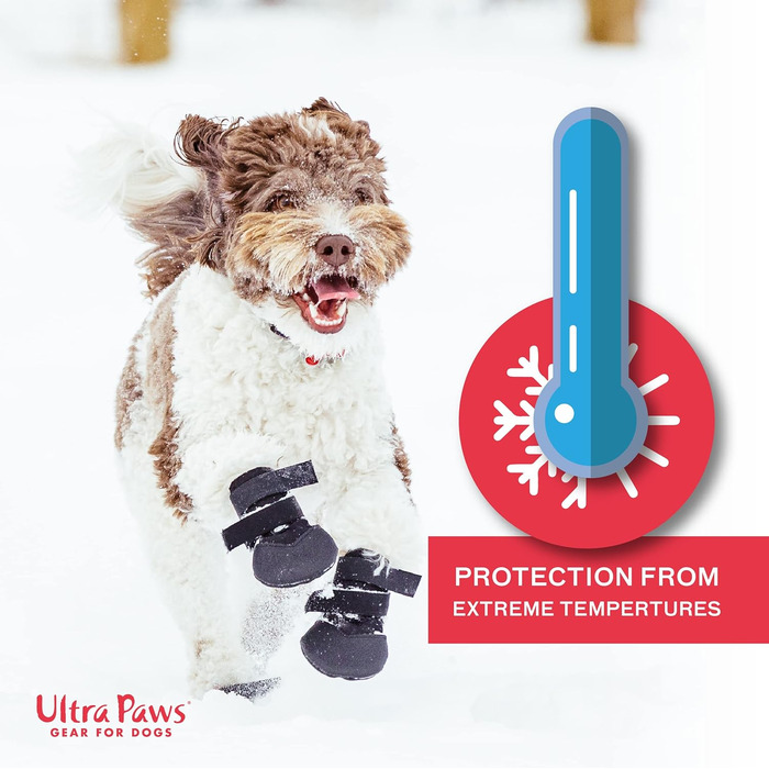 Чоботи для собак, захист лап, чорний колір, розмір 6 (M), водонепроникні, для великих собак