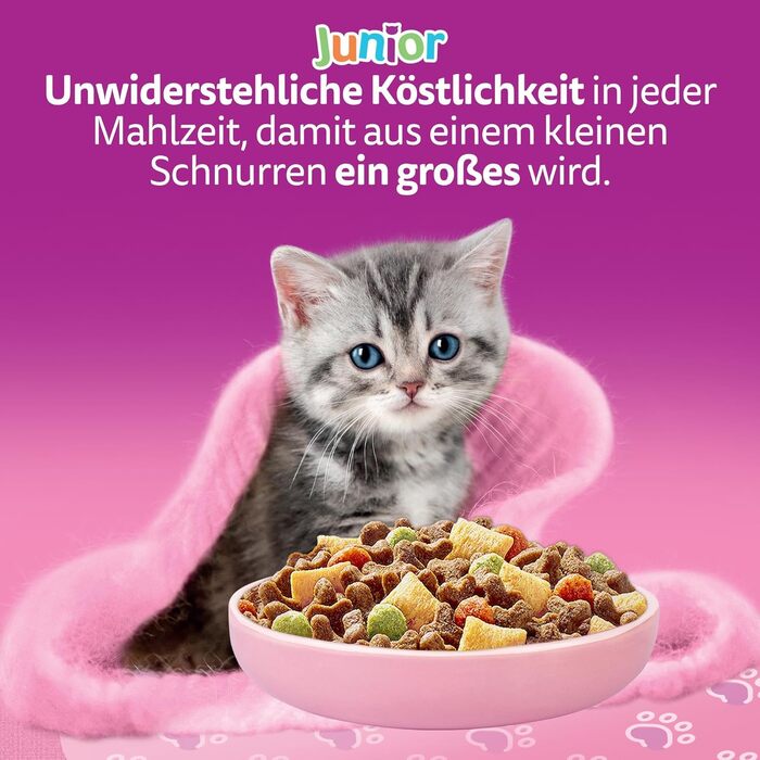 Сухий корм для котів Whiskas Junior з куркою, набір 5 x 800 г