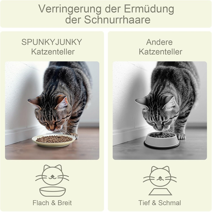 Набори мисок для котів SPUNKYJUNKY 3 шт. з кераміки. Миски для корму котів (білий, бежевий, коричневий, плоскі)