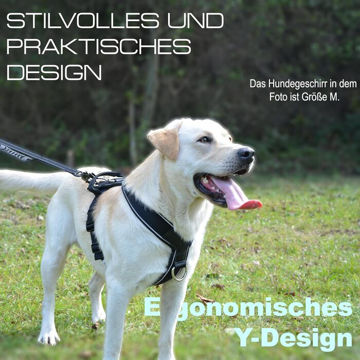 Нашийник для собак ILII - міцний, елегантний та комфортний. Унікальний дизайн для середніх та великих собак. Чорний, мінімальне покриття.