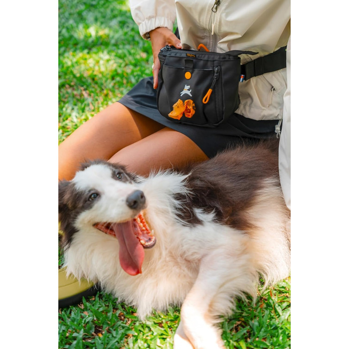 ОлліДог Backcountry Tagestasche: Сумка для ласощів та відходів для собак, з відсіком для кульок, на пояс (Raven S'25)