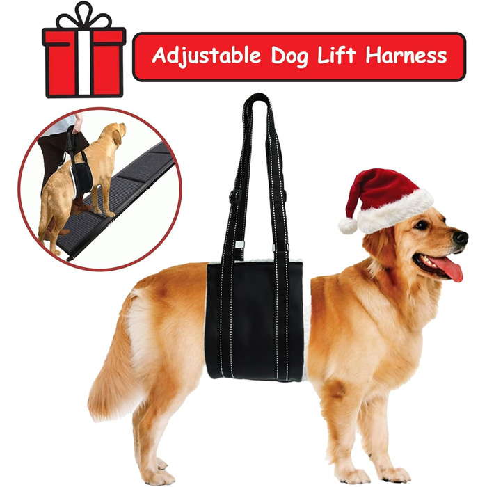 Рампа для собак у вантажівки та позашляховики, складна, 160 см, з килимком, для старих собак, 160 GY, довжина 158 см