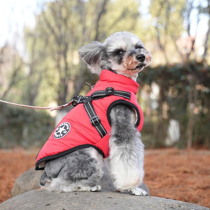 Водонепроникна куртка для собак середнього розміру на зиму. Тепла, з підкладкою, з грудним ременем, світловідбиваюча, без рукавів, з шлейкою, червона M