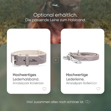 Нашийник для собак Freudentier® Amstelpark з повного зерна шкіри, комфортний, Made in EU, 27.5-38 см, сіро-коричневий