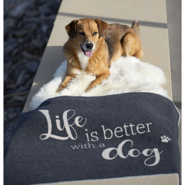 Підстилка для тварин David Fussenegger Life is Better Dog, маленька, антрацитова, 90x70 см, 7319/98