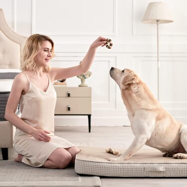 Крісло-ліжко для собак великих порід, бежеве: м'який матеріал, знімний та водонепроникний чохол, двошаровий наповнювач (Gel Memory Foam + губка), антиковзаюча підставка, розмір Jumbo (47x29x3.54 см)