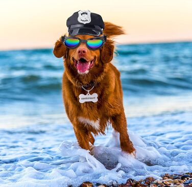 Костюм поліцейського для собак та котів Yewong: повний аксесуарний набір (м'язка шапка, значок, сонцезахисні окуляри) для Хелловіну, Різдва, косплею та рольових ігор