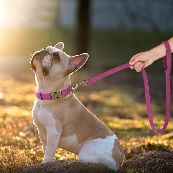Нашийник для собак Didog з м'якої PU-шкіри, фіолетовий, розмір L (38-46 см)