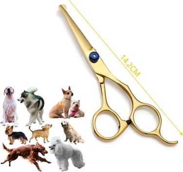 Професійна 5-в-1 фен-гребінець для собак: ножиці з нержавіючої сталі, гребінець, ножиці для стрижки та догляду