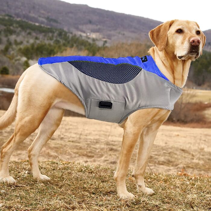 Підкладкова регульована куртка для собак, обігріваюча жилетка для собак з LED-підсвічуванням, зручна та вітронепроникна куртка для маленьких та середніх собак (XL, Синій та Сірий) XL Синій та Сірий