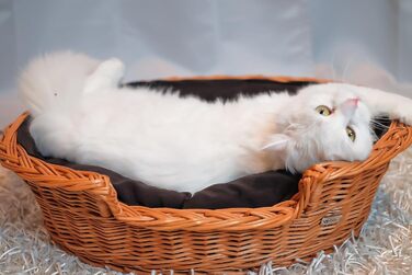 Плетений кошик-будка для собак із натуральної лози 85 см без подушки e-wicker24