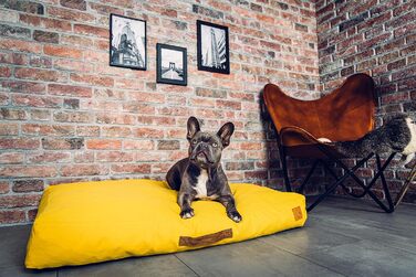 Ортопедичне ліжко для собак Roth & Bock з м'якої піни, сертифіковане Oeko-Tex Standard 100, покриття з водонепроникного канвасу, жовте, розмір S