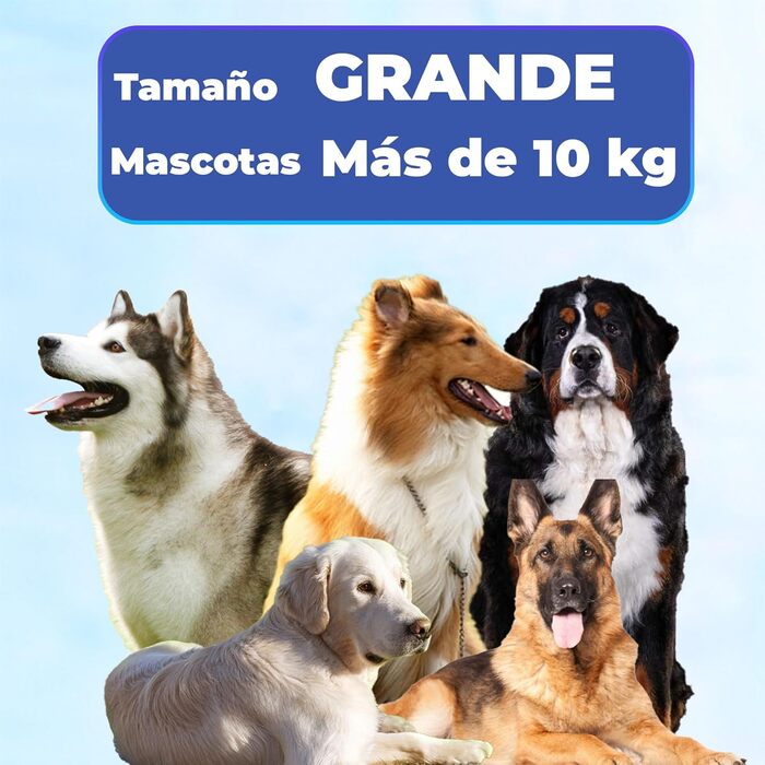 Бурштук для собак та котів 2 в 1 GLUTTONY, металевий, блакитний