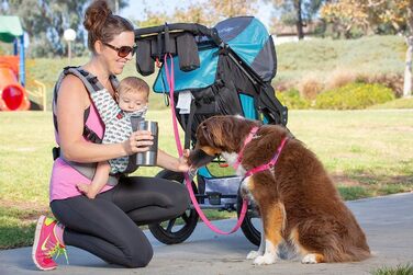 PetFusion портативна пляшка для води з нержавіючої сталі для собак та домашніх тварин, з м'ятою, для подорожей