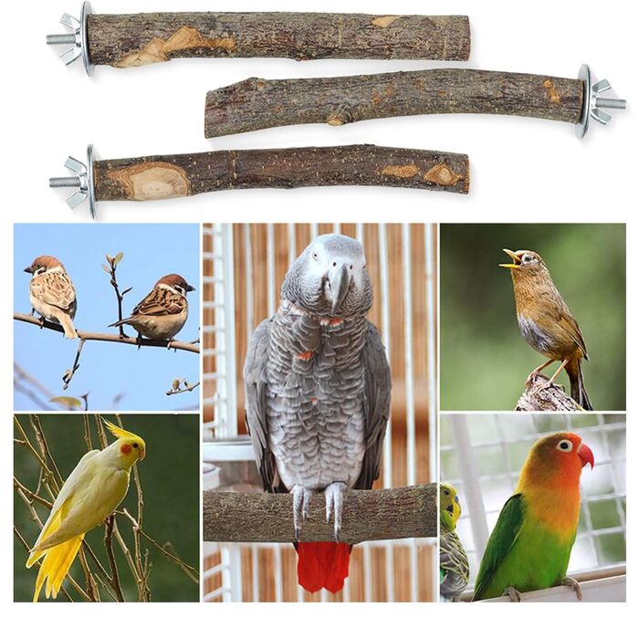 Набір аксесуарів для пташника: 8 дерев'яних жердовок для хвилястих попугайчиків та інших птахів