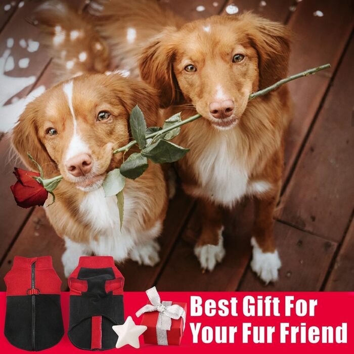 Тепла флісова жилетка для собак Idepet з блискавкою та кільцем для повідка, для холодного зимового періоду, для маленьких та середніх собак (Червоний/Чорний, L)