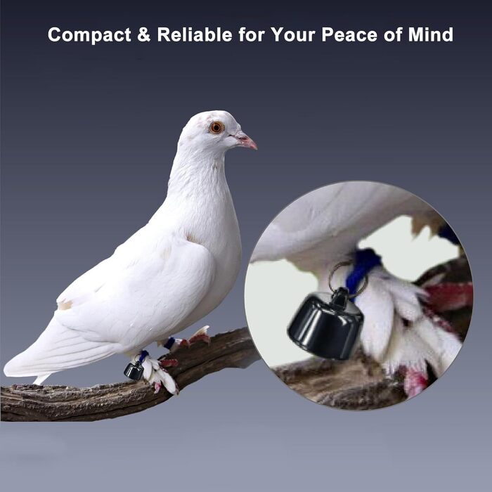 GPS трекер для тварин Mini Haustierortungsgerät: сумісний з iOS та Android, глобальна локація без підписки, для собак та котів, водонепроникний, легкий (3 шт.)