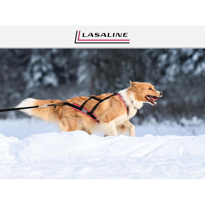 LASALINE Шлея X-Back для собак, для канікросу, їзди на велосипеді, дожскутеру та санках, чорна з неоново-жовтим