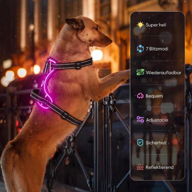 Світлодіодна шлейка для собак з RGB підсвічуванням, перезаряджувана, для малих, середніх та великих порід (Чорний, XS)