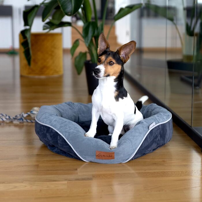 Ліжко для собак маленьких порід La Nube, 61x61 см, диван-ліжко, килимок, корзина, сіре, прання допустиме
