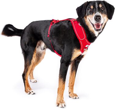 Шлейка для собак Belka, регульована, чорна, XL