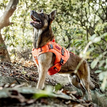 Тактичне обіднє для собак OneTigris Fire Watcher 2.0 з міцною металевою застібкою, ручкою, система кріплення OLLE-Klettsyste (L, Помаранчевий)