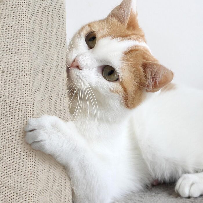 Когтеточка PETMAKER 70 см з сизалю та джуту, килимове покриття, захист меблів для домашніх котів, бежева