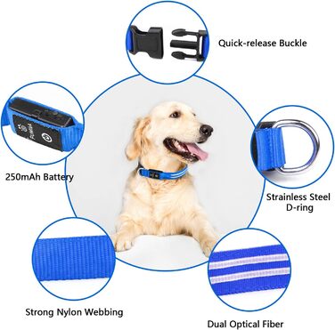 Світлодіодний нашийник для собак Leuchthalsband PcEoTllar, зарядний, 3 режими світіння, водонепроникний, регульований, для малих, середніх та великих собак, блакитний (TC5000), L (48-60 см)