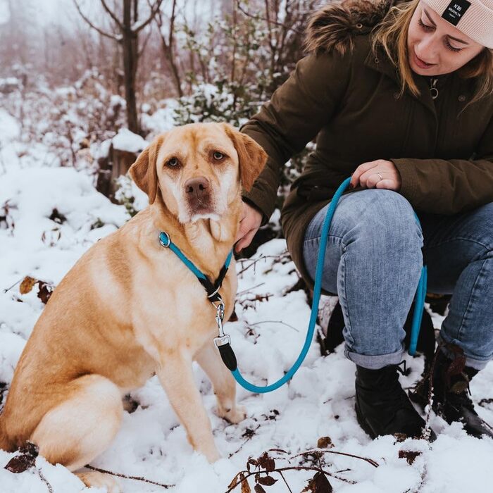 HUNTER Dressurhalsung FREESTYLE, чорний, міцний ошейник для тренувань та повсякденного використання, розмір L