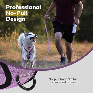 Нашийник для собак FAYOGOO без чіткого затягування, з відбиваючими елементами, м'який, з підкладкою, для маленьких, середніх та великих собак, фіолетовий, розмір XS