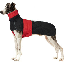 колір: гниль