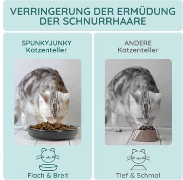 Набори мисок для котів SPUNKYJUNKY 3 шт. з кераміки, чорного кольору (300 мл)