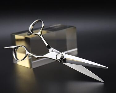 Професійні перукарські ножиці AOLANDUO VG10 - для перукарів та барберів, нержавіюча сталь, висока гострота, плавне різання, 6.0 дюймів