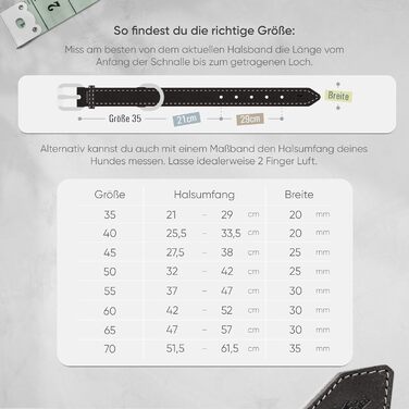 Нашийник для собак FREUDENTIER® Amstelpark з повном'якої шкіри, м'який та комфортний, Made in EU (47-57 см)