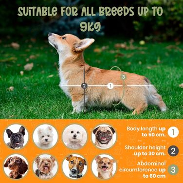 Рюкзак для собак Miracle Pets Rufftrails до 9 кг - водонепроникний, дихаючий, для походів, пляжу, парку - чорний