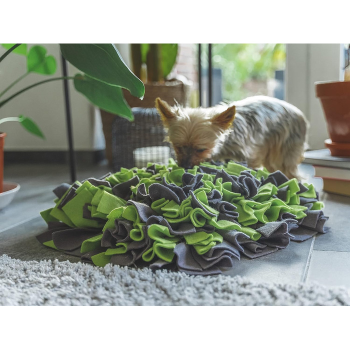 TrendPet інтерактивний снiффлiнг-килимок для собак 48х48 см, 10 см, нековзний, зелений