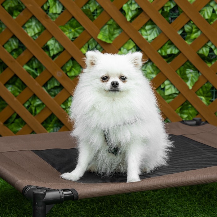 PawHut Outdoor Bed Bed Robust Lounger для собак 76x61x18см з 600D Oxford в коричневому кольорі для собак і кішок