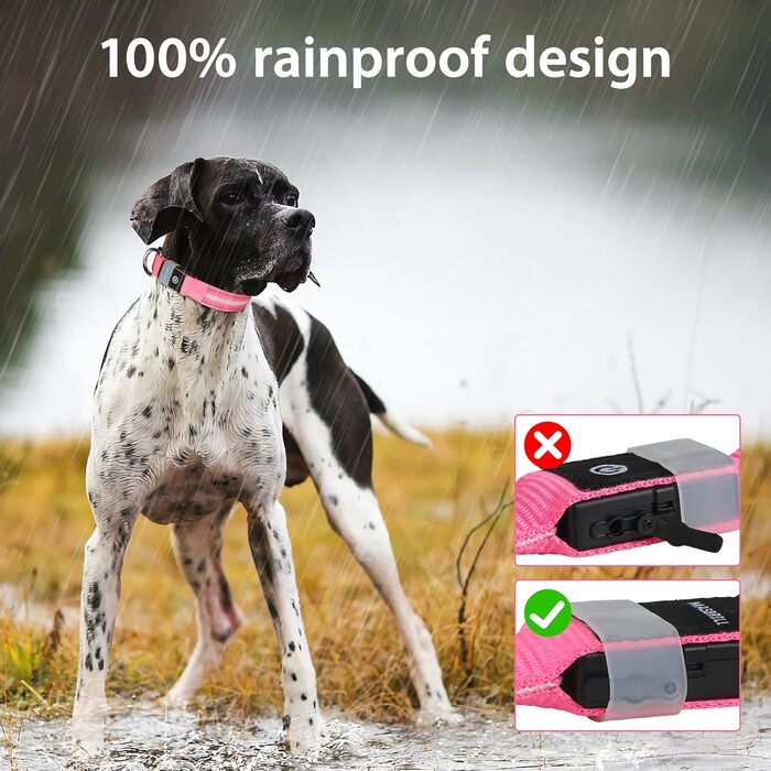 Світлодіодне нашийник для собак Masbri: безпечний, водонепроникний, з підзарядкою, рожевий (XS)