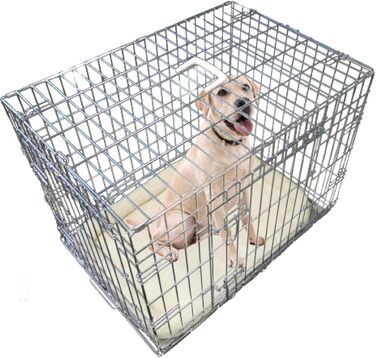Складана клітка для собак Ellie-Bo Deluxe 76 см з 2 дверцятами і штучним вовняним килимком, срібляста, для цуценят та дорослих собак