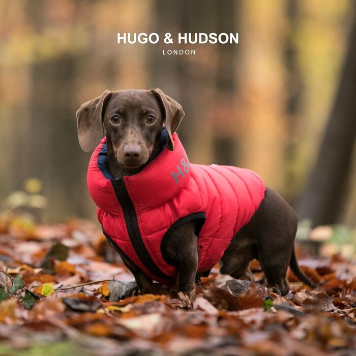 HUGO & HUDSON Двостороння пухова куртка для собак, водовідштовхувальна, червона і темно-синя, розмір S35