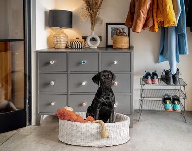 Крісло-ліжко для собак Greemotion з білого поліротангу з подушкою, 85 x 25 x 75 см