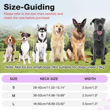 Світлодіодне нашийник для собак Leuchthalsband PcEoTllar, водонепроникний, 7 кольорів, регульований, для маленьких та великих собак, чорний (фіолетовий, M)