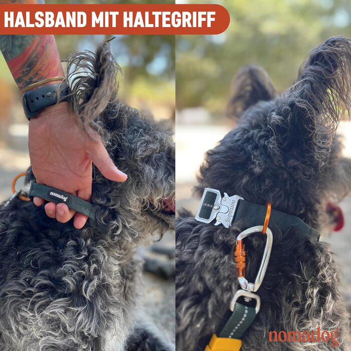 Нашийник для собак Nomadog Trailblazer з ручкою для великих собак - преміум алюмінієва застібка, міцний тактичний нашийник, регульований, з підкладкою, світловідбиваючий (L)