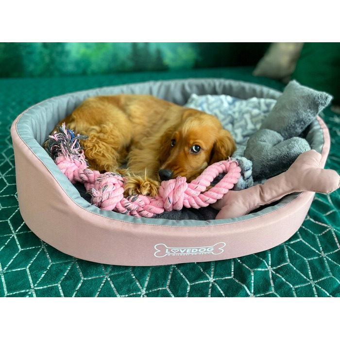 Вольєр для собак Lovedog, багатоколірний, 60 см x 50 см