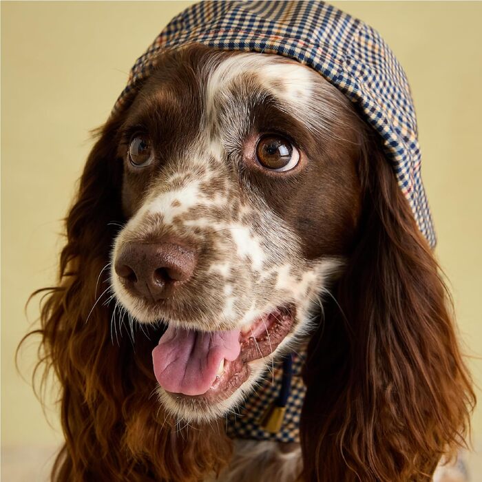 Водонепроникний дощовик для собак Rosewood x Joules Henson Check, маленький, легкий, з можливістю прання