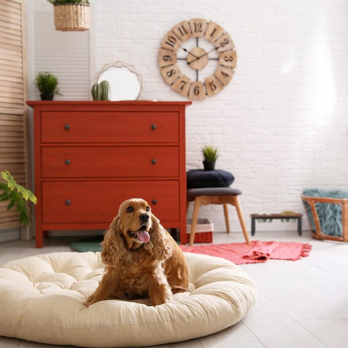 Підставка для мисок Relaxdays з нержавіючої сталі, об'єм 1000 мл, станція для корму для собак з мангового дерева, HBT 16,5 x 42 x 21 см, натуральний колір