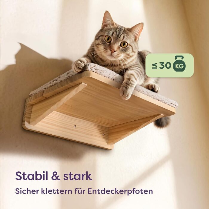 Комплект для котячого комплексу Knupis: Кліматична стіна з ліжком та 2 сходинками – Масивна деревина FSC® з сосни, стійка платформа до 30 кг – Для ігор та відпочинку - Бежевий