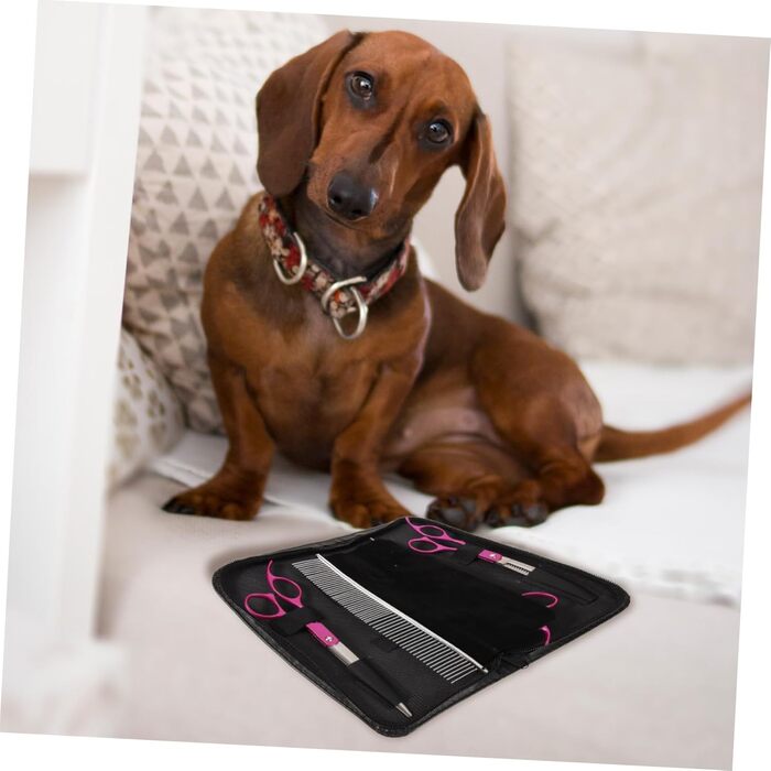 Набір для грумінгу домашніх тварин 1satz: ножиці для собак (прямі та вигнуті), гребінець. Ергономічний, легкий, для м'якого догляду.