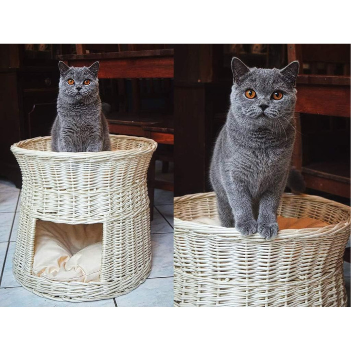 Кігтеточка-будиночок для котів, 50 см, з подушкою, з плетеної лози, двоярусна, для дому