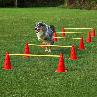 Тренувальний набір для собак Activity Agility: смуга перешкод (12 стійок)